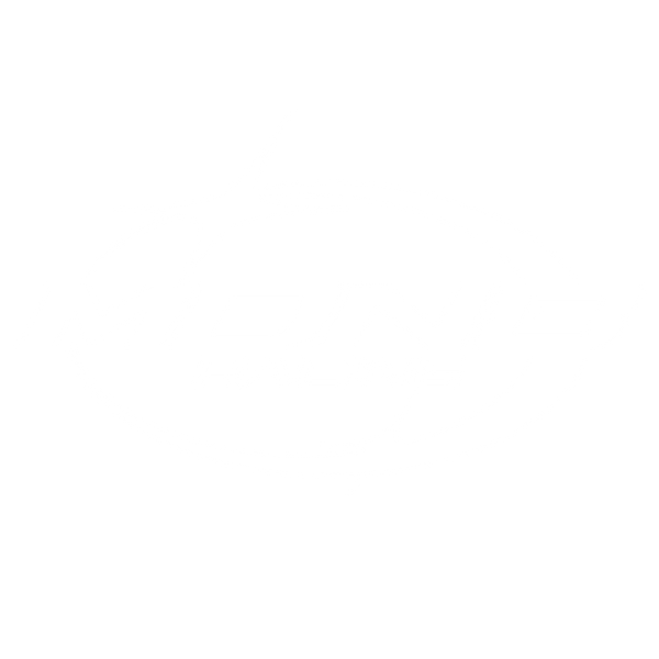 Midnight Racing ™