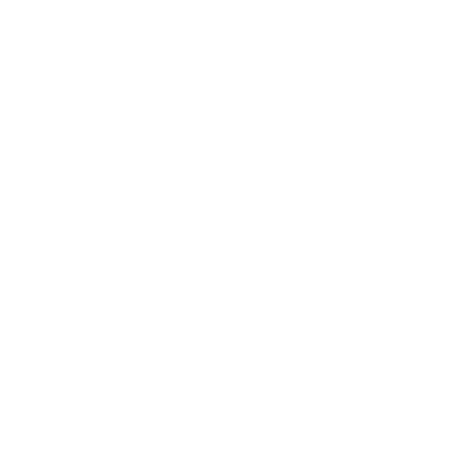 Midnight Racing ™